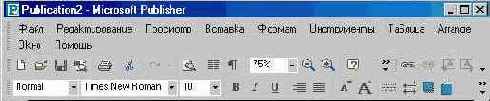  1 Microsoft Publisher (II)