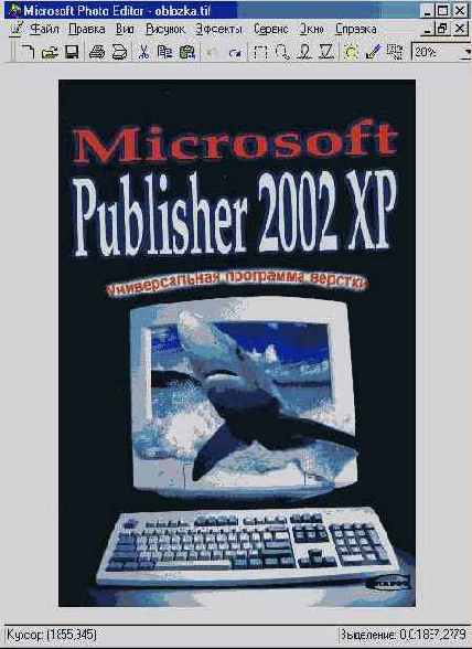  Microsoft Office 2002 XP