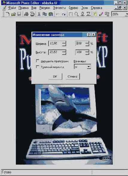  Microsoft Office 2002 XP