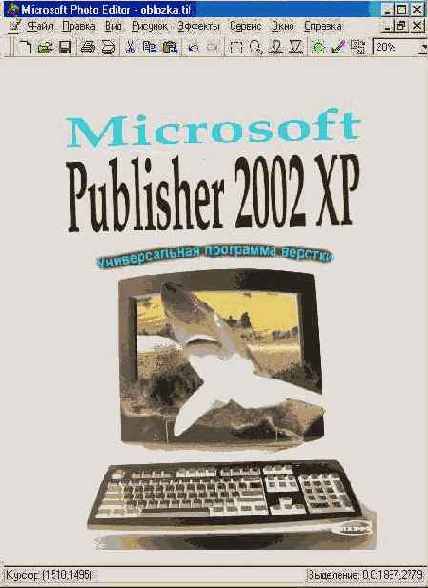  Microsoft Office 2002 XP