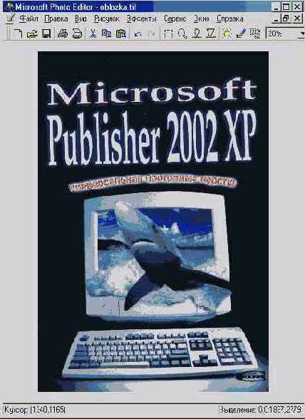 Microsoft Office 2002 XP