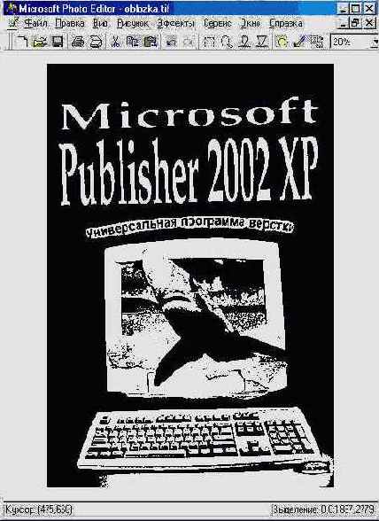  Microsoft Office 2002 XP