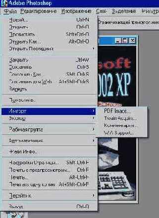  Microsoft Office 2002 XP